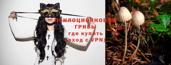 бошки Абдулино